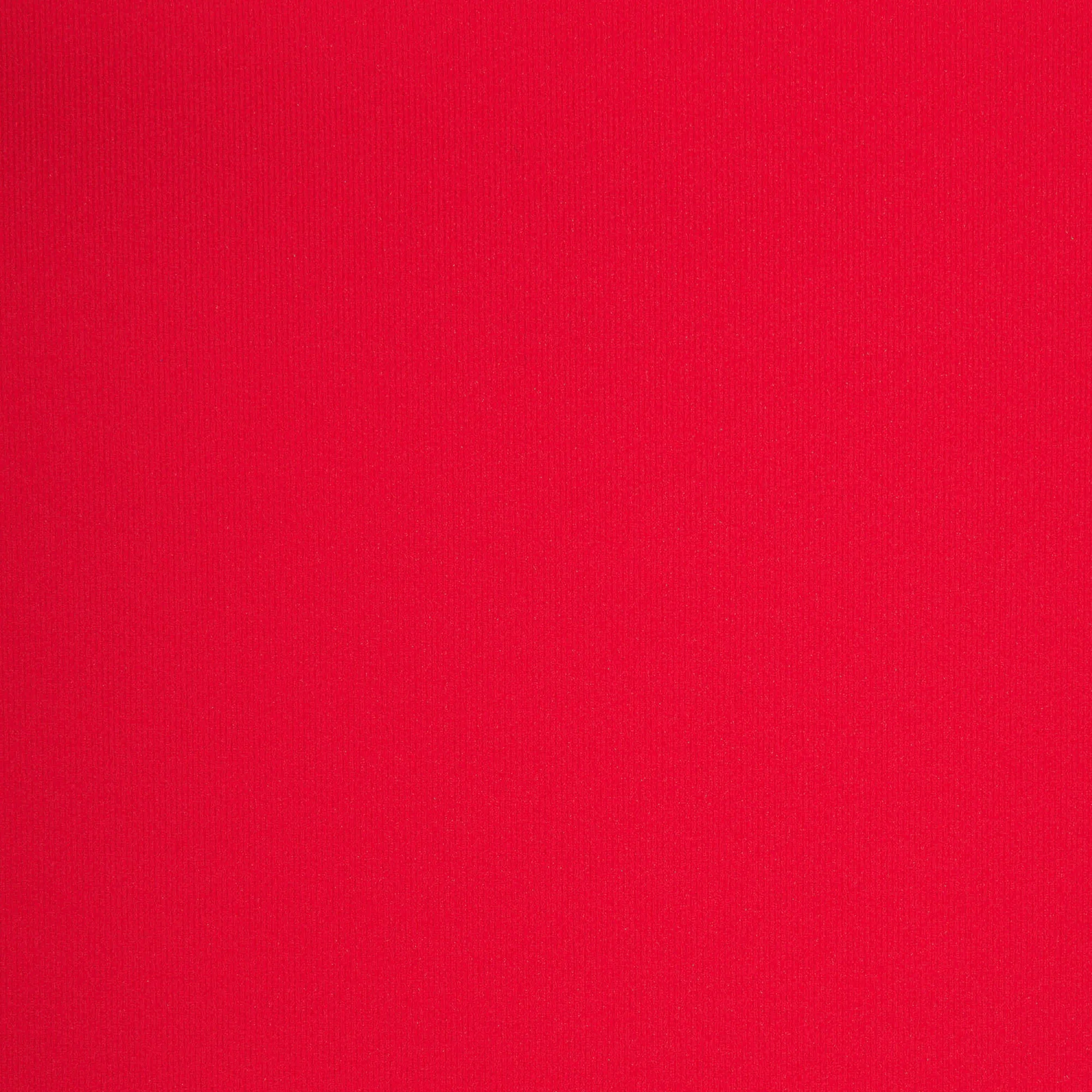 FITS EVERYBODY T-SHIRT | CHERRY - Image 4